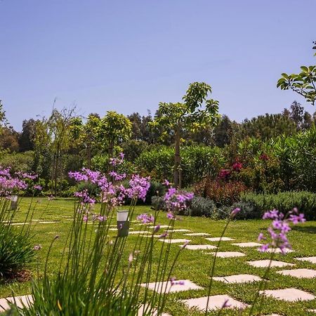 Mear Holiday Homes - Cretan Summer Getaways Kountoura Selino Exterior photo