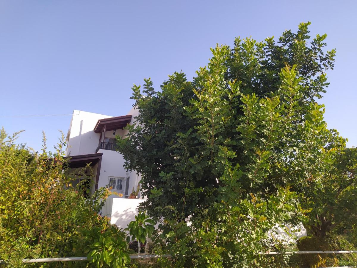 Mear Holiday Homes - Cretan Summer Getaways Kountoura Selino Exterior photo